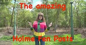 The amazing Holme Fen posts