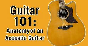 Guitar 101: Anatomy of an Acoustic Guitar