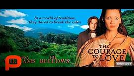 Courage To Love (Free Full Movie) Vanessa Williams 😍