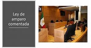 Ley de Amparo comentada, correlacionada y con jurisprudencia