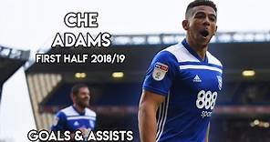 Che Adams - All Goals, Skills & Assists 2018/19 1st Half | HD