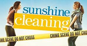 Various - Sunshine Cleaning (Original Motion Picture Soundtrack)