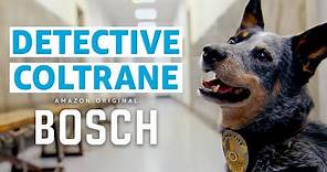 New Dog Detective Show From the Creator of Bosch | Prime Video
