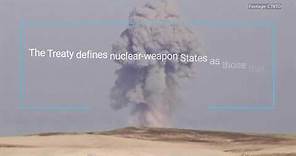 What is the Treaty on the Non-Proliferation of Nuclear Weapons?