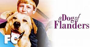 A Dog Of Flanders | Full Classic Drama Movie | Free HD Cool Dog Movie | FC