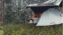 camping sous tente dans la forêt tropicale dense #camping #bushcraft #survie
