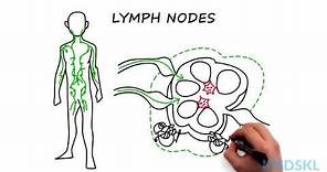 Lymphadenopathy: The steps to take when you feel an enlarged lymph node