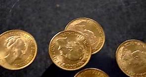 Netherlands Guilder Gold Coin
