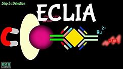 Electrochemiluminiscence Immuno Assay | ECLIA Immunoassay | Electrochemiluminiscence |