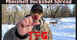 12 Gauge Minishell Buckshot Spread - TheFirearmGuy