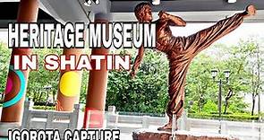 Hongkong Heritage Museum | Bruce Lee Statue | Museum Of History