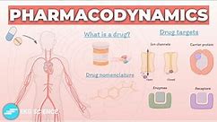Introduction to Pharmacodynamics | Pharmacology