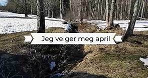 Bjørnstjerne Bjørnson: Jeg velger meg april #12