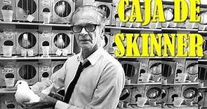 La Caja de Skinner | Los Experimentos Más "Perturbadores" #1 | Pedagogía MX