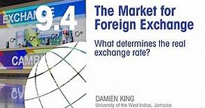 Lesson 9.4: The Market for Foreign Exchange