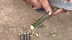 Omg…Unique Skill Grafting Mango tree In a water bottle Using Oranges For Get a lot of fruits