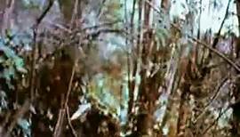 Das Geheimnis der fliegenden Teufel | movie | 1980 | Official Trailer