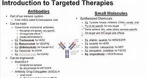 17 Principles of Targeted Therapy
