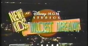 New Kids on the Block - Disney - MGM Studios Wildest Dreams