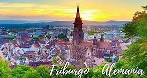 Friburgo, La ciudad del Futuro!, sustentable, de las más cálidas de Alemania.