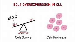 CLL Whiteboard #3: Mechanisms of Action of Anti-Apoptotic BCL2 Inhibitors
