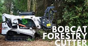 Bobcat T770 Track Loader & Forestry Cutter | Full Review
