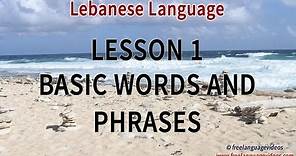 Learn Lebanese 500 Phrases for Beginners - Part 1 - Basic Words and Phrases