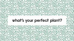 Find your perfect plant