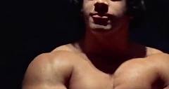 Lou Ferrigno - Bodybuilding icons