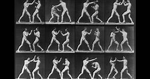 Eadweard MUYBRIDGE Boxing Photos (1887) via Composer Richard ROBBINS (1987)