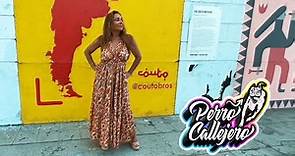 Perro Callejero - Cecilia Noël (Official Music Video)