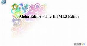 How to work with Aloha Editor - all the possibilities