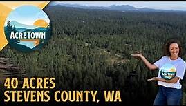 Cheap Land in Washington State | 40 acres | Mtn Views | Power | Road Frontage | Flat & Buildable