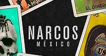 Narcos: México - Ver la serie de tv online