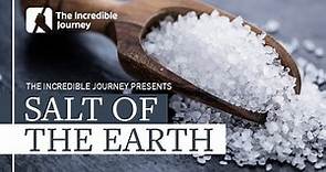 Historical Importance of Salt and How it Shaped Civilisations