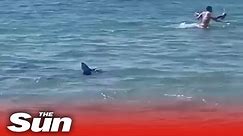 British families flee water as SHARK stalks beach at Spain holiday hotspot