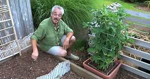 Paul James' GGTV - What's Happening With My Vegetable Garden - @ gardenerguy.com