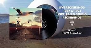 Pink Floyd - Blues 1 (1994 Recording)