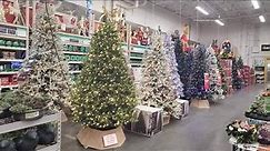 $50 Christmas Trees at Home Depot 2021 | Affordable Holiday Trees at HUGE Discounted Price!