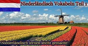 Niederländisch lernen für Anfänger | Vokabeln zum nachsprechen Teil | Holland-Phrasen