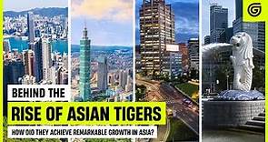 Rise & Development of Asian Tigers | How did they succeed?