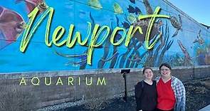 Exploring Newport Aquarium in Cincinnati Ohio