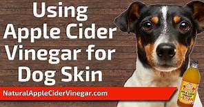 Relieve Itchy Dog Skin with Apple Cider Vinegar