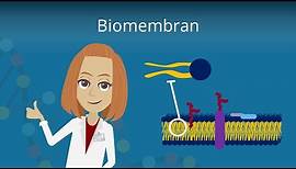 Biomembran - Aufbau und Funktion