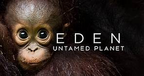 Watch Eden: Untamed Planet | Full Season | TVNZ