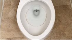 Recurring Toilet Ring - Top 3 Solutions tested - Problem Solved