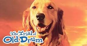 The Trial of Old Drum (2000) | Full Movie | Ron Perlman | Randy Travis | Bobby Edner | Dick Martin