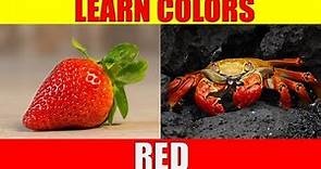 Learn Color RED - Things That Are Red in Colour