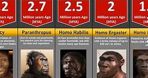Human evolution and timeline