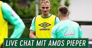 Live Chat mit Amos Pieper